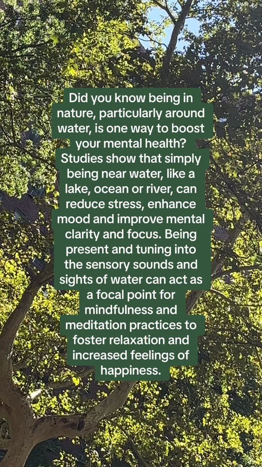 According to studies, being in nature can really boost your mental health, particularly when water is involved. The sounds and sights of water can act as a focal point for mindfulness and meditation practices. 💧 #mentalhealth #meantalhealthtiktok #moodboost  thumbnail