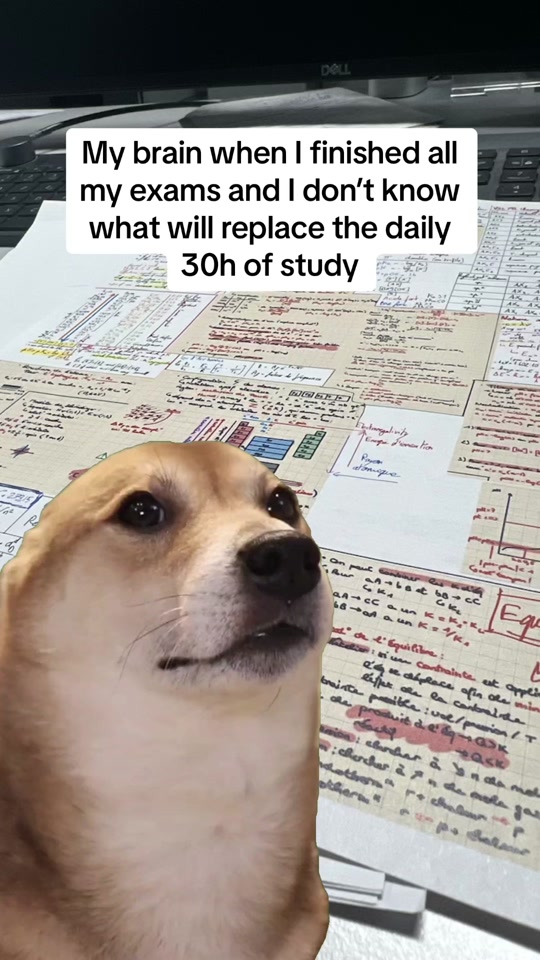 Post exam stress  #fyp  #pourtoi  #epfl  #stem  #epfl  #shiba  #MemeCut  #Meme   thumbnail