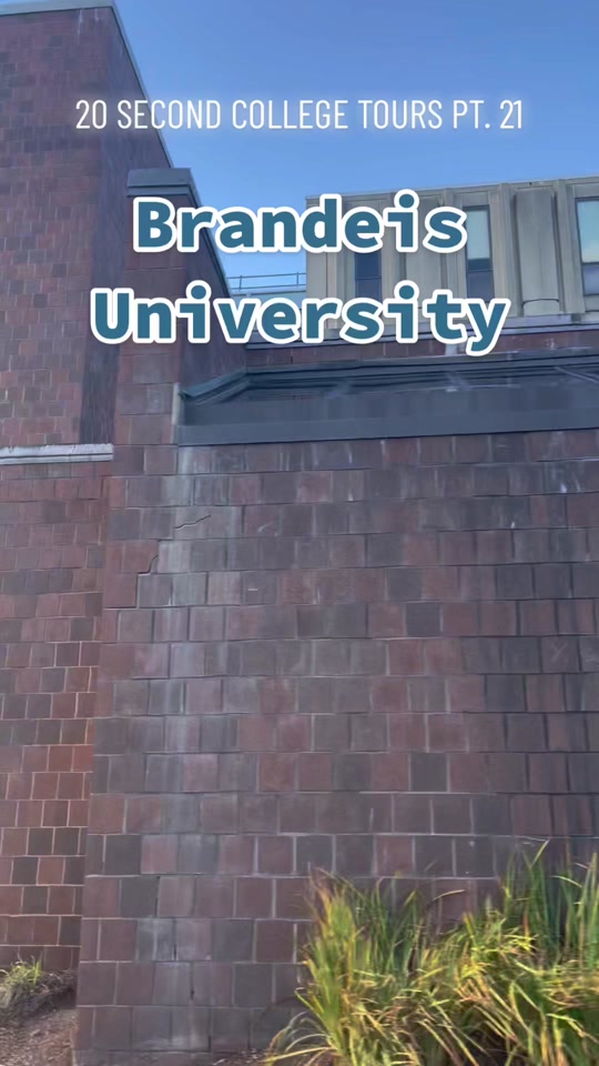 Brandeis University 📍Waltham, MA #brandeis #campustour #boston  thumbnail