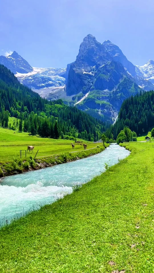 📍Rosenlaui🇨🇭#swissroads #switzerlandnature #roadtrip #rosenlaui #berneroberland #verliebtindieschweiz #swissbeautiful #sisiswiss thumbnail