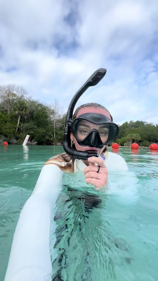 Dive into an unforgettable experience with manatees in 📍#Florida with @natalieelongo 🌊 Observe these curious and friend-shaped giants, but remember, no touching is allowed 🐋😢 🎥 @natalieelongo #manatee #wildlife #snorkeling #usatravel #outdooradventure thumbnail